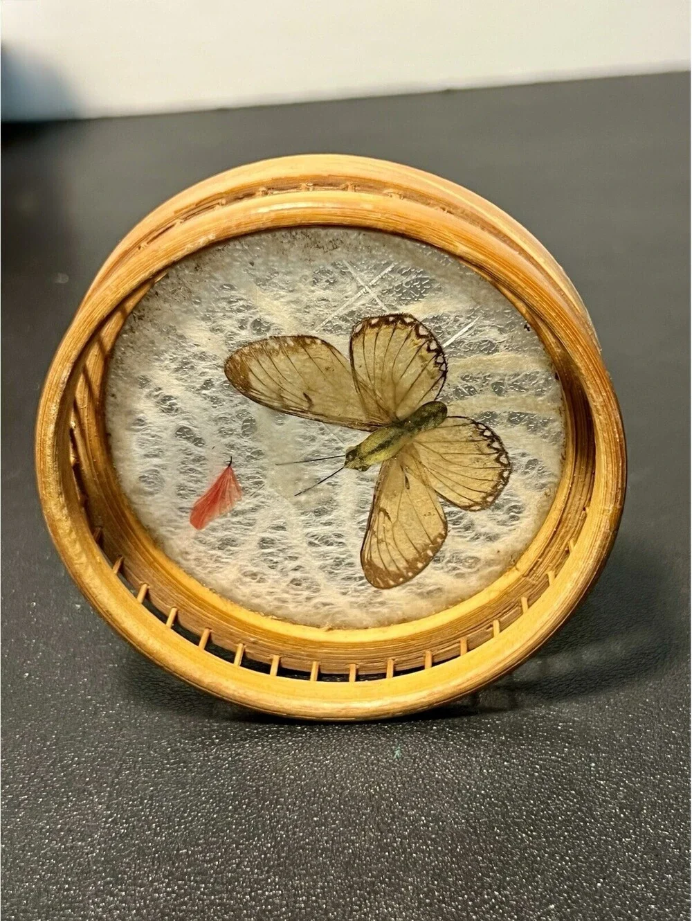 Japanese 1970s Set 5 Bamboo Pressed Butterfly Coasters & Serving Tray, 11x1.5”